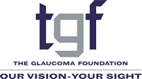 The Glaucoma Foundation - Our Vision-Your Sight